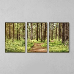 Quadro Decorativo Tríptico Caminhos Da Natureza na internet