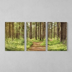 Quadro Decorativo Tríptico Caminhos Da Natureza - comprar online