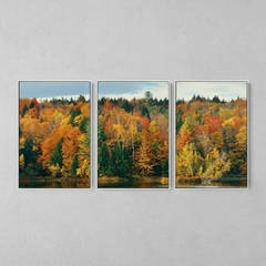 Quadro Decorativo Tríptico Cores Da Natureza - comprar online