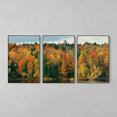 Quadro Decorativo Tríptico Cores Da Natureza na internet