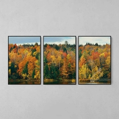 Quadro Decorativo Tríptico Cores Da Natureza