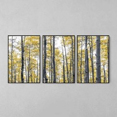 Quadro Decorativo Tríptico Troncos Claros Flores Amarelas - comprar online