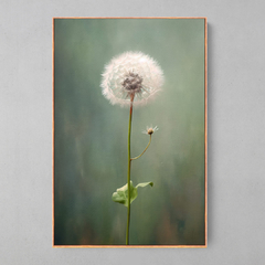 Quadro Flor Dente de Leão esplêndido - comprar online