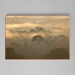 Quadro Decorativo Entardecer na Floresta Amazônica - Ellquadros 