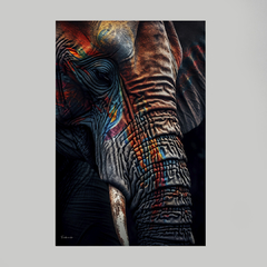 Quadro Elefante Colorful ll