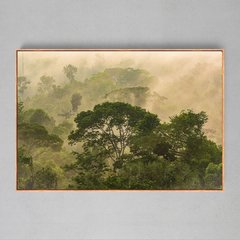 Quadro Decorativo Frescor da manhã, Sul da Amazônia - Ellquadros 