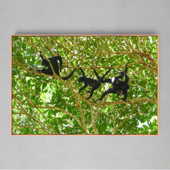 Quadro Decorativo Macacos Aranha da Amazônia - Ellquadros 