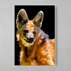 Quadro Lobo Guará - comprar online