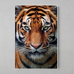 Quadro Tigre - Ellquadros 