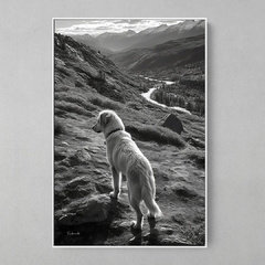 Quadro Dog Mountains - comprar online