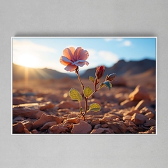 Quadro Decorativo Flor no Deserto - Ellquadros 