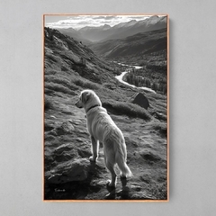 Quadro Dog Mountains - Ellquadros 