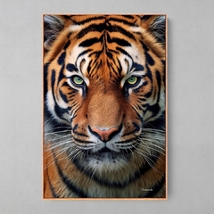 Quadro Tigre - comprar online