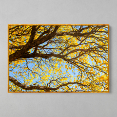 Quadro Decorativo Centenário Ipê Amarelo - loja online