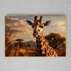 Quadro Decorativo Girafa Zen Africana - loja online