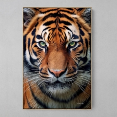 Quadro Tigre - loja online