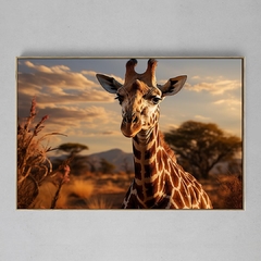 Quadro Decorativo Girafa Zen Africana - Ellquadros 