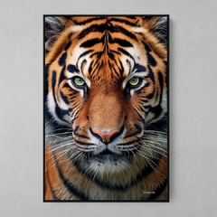 Quadro Tigre na internet