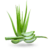 ALOE VERA 4 LITROS - comprar en línea