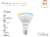 FOCO INTELIGENTE WIFI LED LUZ FRIA Y CALIDA