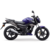 TVS RAIDER 125 en internet