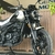 Benelli LEONCINO 250 - tienda online