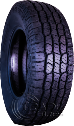 PNEU 275/65R18 PRINX HA2 A/T na internet