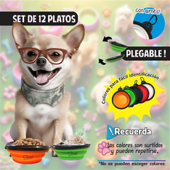 Plato Plegable Para Mascota, 12 pz en internet