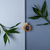 Imagem do Escova de Frutas e Legumes de Bambu | Oikos