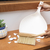 Escova de Bambu e Pá para Limpeza (Branco) - comprar online