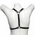 ARREIO FEMININO HARNESS ELECTRA DOMINATRIXXX na internet