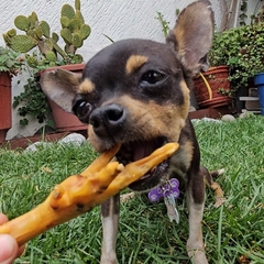 Patitas de pollo deshidratadas - comprar en línea