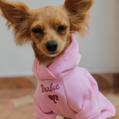 Sudadera BARBIE - comprar en línea