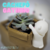 Cachepô Gatinho e Caixa - Sagaz 3D