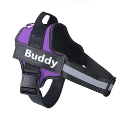 Coleira e Colete Buddy - Com nome Customizável