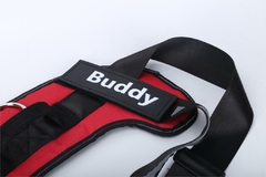 Coleira e Colete Buddy - Com nome Customizável na internet