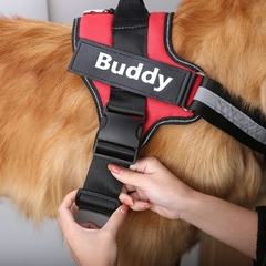 Coleira e Colete Buddy - Com nome Customizável