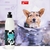 Shampoo Milk Neutro Perigot 500 Ml Pet Cães Gatos - comprar online