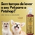 Imagem do Kit Dolce Pet Banho A Seco + Deo Colônia Cães Gatos