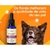 Floral De Bach Ansiedade Pet Cachorros Gatos 30ml Perigot - comprar online