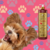 Shampoo neutralizador de odores Turmalina Cereja e Avelã da PU Dolce Pet, com um cão feliz ao fundo.