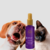 Colônia Hydra Groomers Forever Candy Pet Society 130Ml