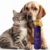 Colônia Hydra Groomers Forever Love Pet Society 450Ml