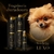 Kit Pet Society Hydra Tentações Luxo 24 Kilates Shampoo Máscara Perfume Diluidor 600Ml na internet