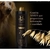 Kit Pet Society Hydra Tentações Luxo 24 Kilates Shampoo Máscara Perfume Diluidor 600Ml - loja online