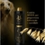 Kit Hydra Tentações Luxo Pet Society Shampoo + Máscara - loja online