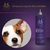 Solução Para Higiene dos Ouvidos Hydra Groomers Pet Society 500 Ml - comprar online