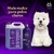 Shampoo Hydra Groomers Pro Pelos Claros Pet Society 1 Litro - Bahia Delivery 