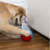 Imagem do Crazy Ball Bola Comedouro Lento Pequena Para Cães e Gatos Amicus
