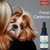 Floral De Bach Carência Pet Cachorros Gatos 30ml Perigot - comprar online